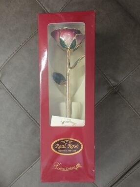 🥀REAL ROSE, 24K.GOLD LIVING GOLD" DIPPED IN 24K GOLD"